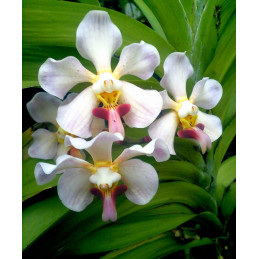 16248931950_dedd720384_b