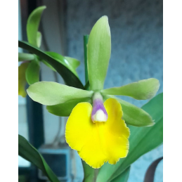 Epic. Rene Marquez x Pot....